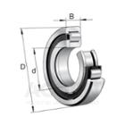 NUP310-E-XL-TVP2,  FAG,  Cylindrical roller bearing. Fixed outer ring and one-way sliding inner ring c/w loose plate